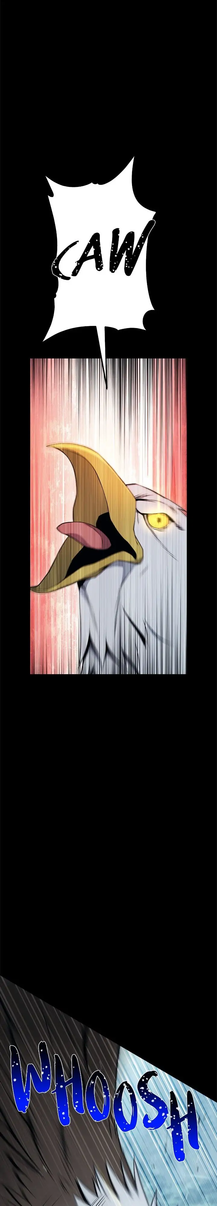 15404703 720 4000 81170