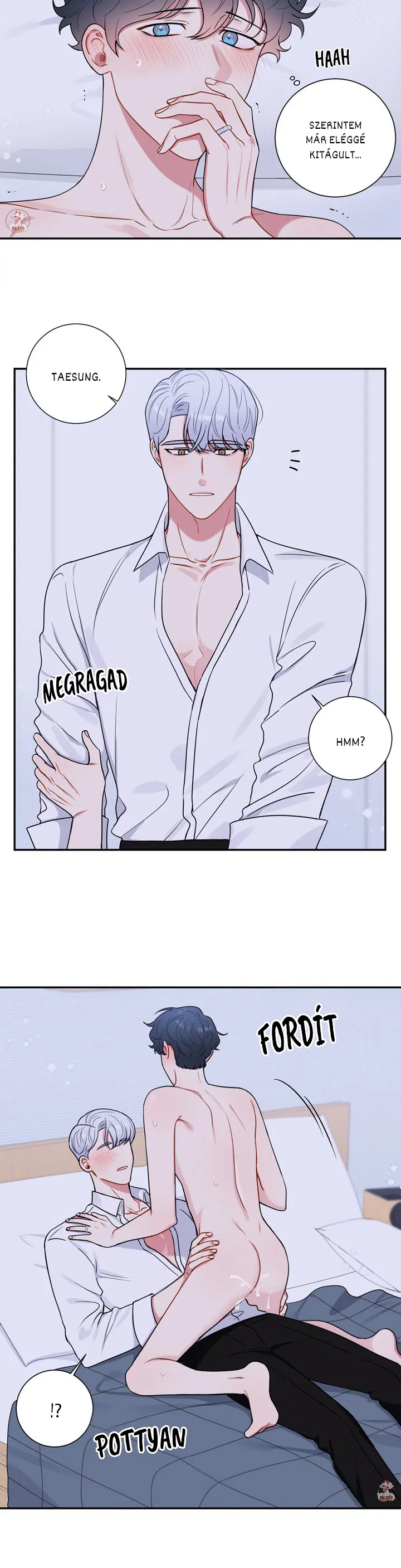 51064986 720 2813 132446