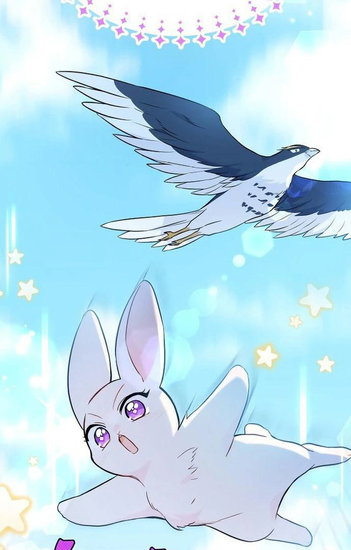 76470036 689 1080 78372